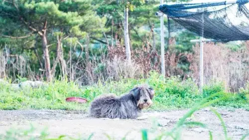 숙소 사진