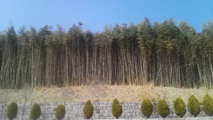숙소 사진