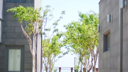숙소 사진
