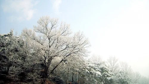숙소 사진
