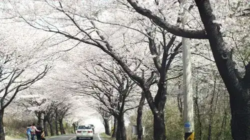 숙소 사진